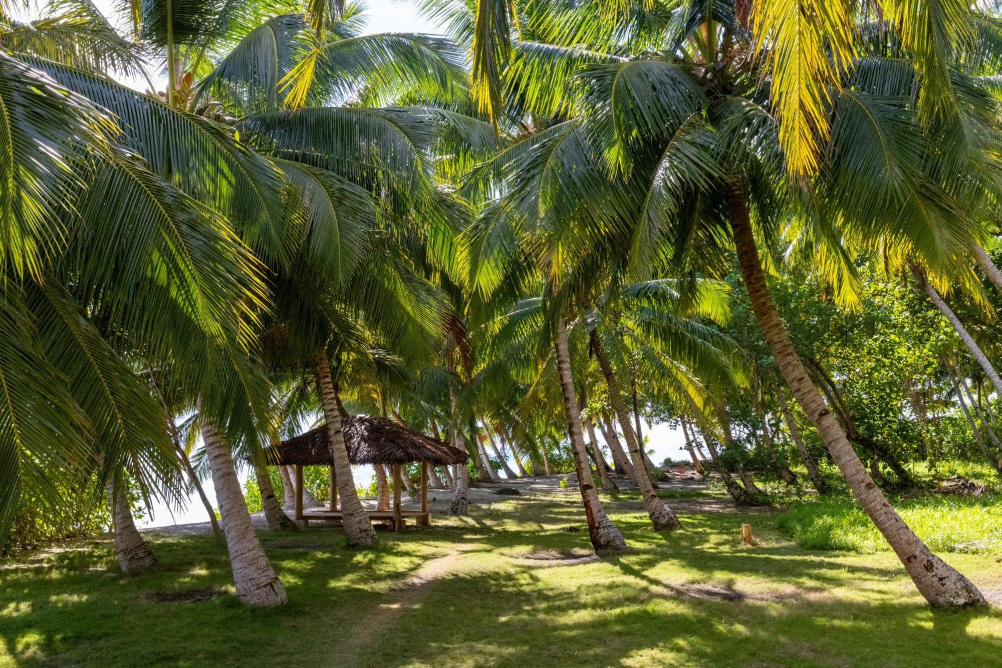 Aloita Resort Mentawai Tua Pejat Экстерьер фото